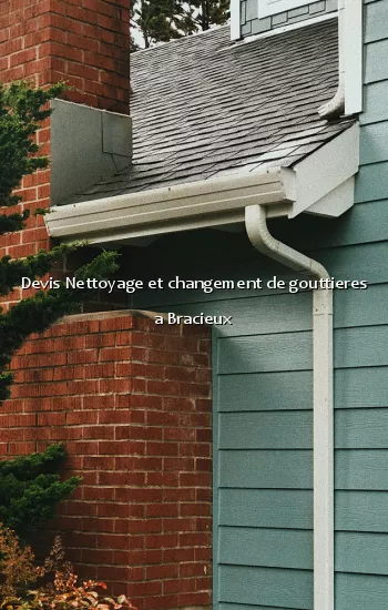 Devis Nettoyage et changement de gouttieres a Bracieux