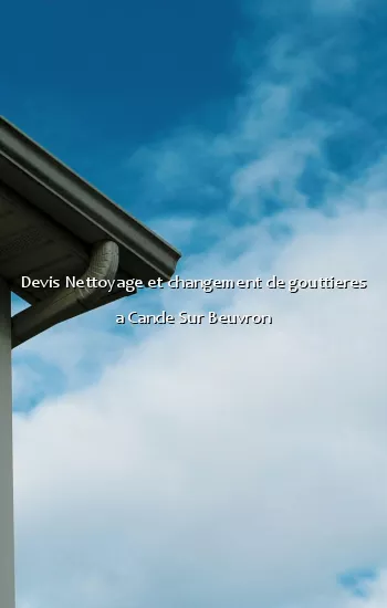 Devis Nettoyage et changement de gouttieres a Cande Sur Beuvron