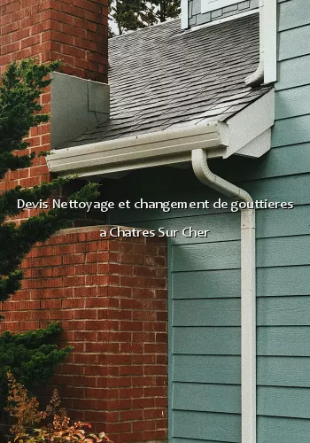 Devis Nettoyage et changement de gouttieres a Chatres Sur Cher
