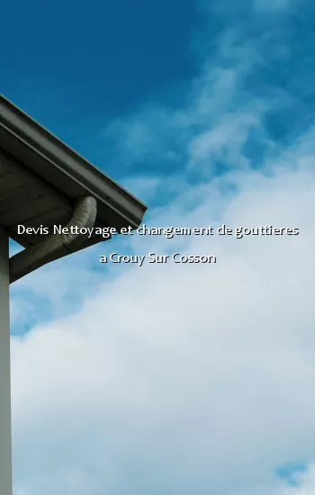 Devis Nettoyage et changement de gouttieres a Crouy Sur Cosson
