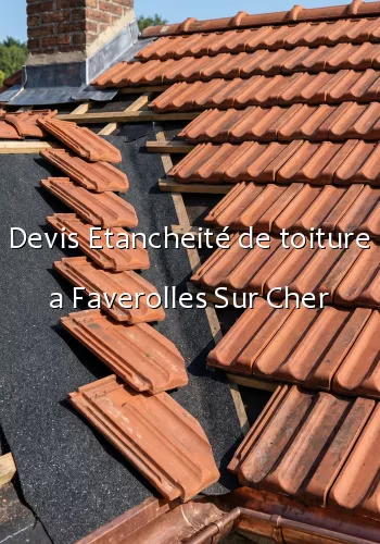 Devis Etancheité de toiture a Faverolles Sur Cher