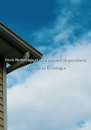 Devis Nettoyage et changement de gouttieres a Fontaines En Sologne