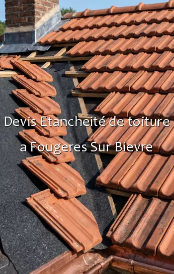 Devis Etancheité de toiture a Fougeres Sur Bievre