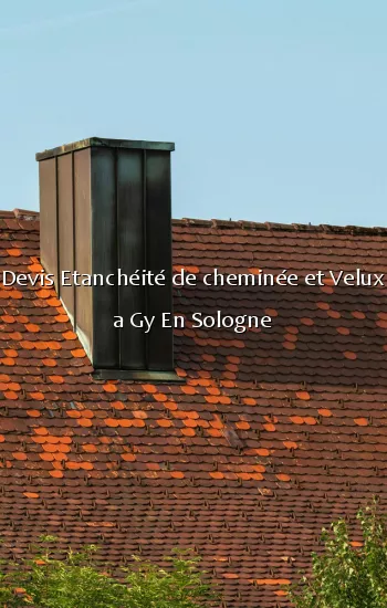 Devis Etanchéité de cheminée et Velux a Gy En Sologne