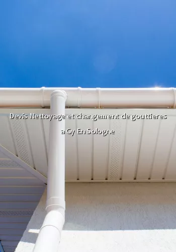 Devis Nettoyage et changement de gouttieres a Gy En Sologne