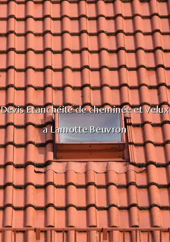Devis Etanchéité de cheminée et Velux a Lamotte Beuvron