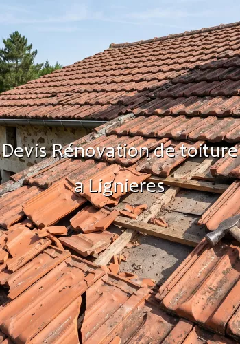 Devis Rénovation de toiture a Lignieres