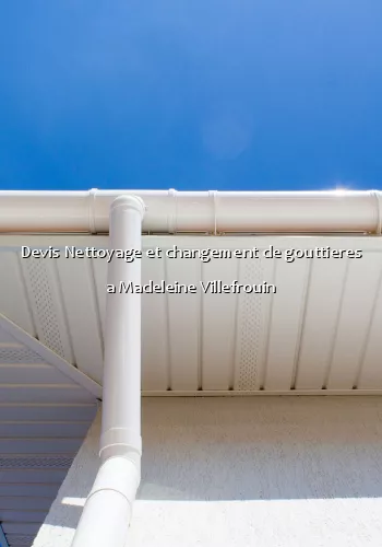 Devis Nettoyage et changement de gouttieres a Madeleine Villefrouin
