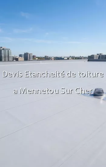 Devis Etancheité de toiture a Mennetou Sur Cher