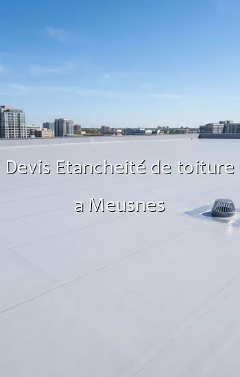 Devis Etancheité de toiture a Meusnes