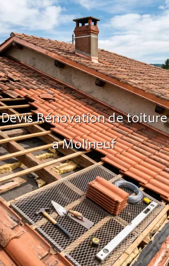 Devis Rénovation de toiture a Molineuf