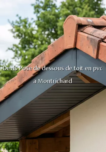 Devis Pose de dessous de toit en pvc a Montrichard