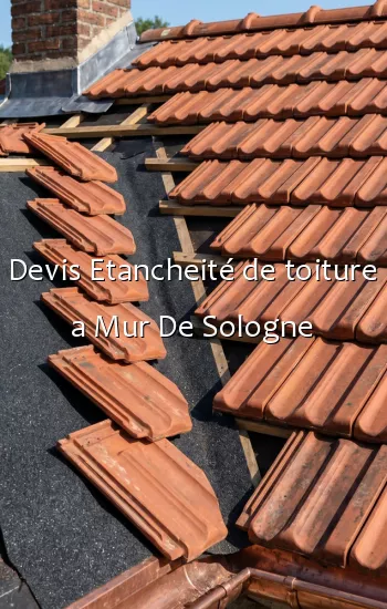 Devis Etancheité de toiture a Mur De Sologne