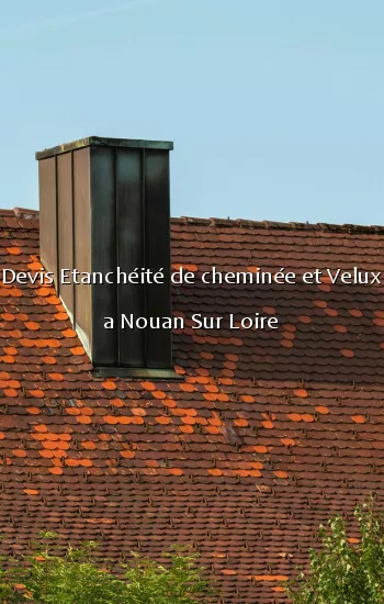 Devis Etanchéité de cheminée et Velux a Nouan Sur Loire