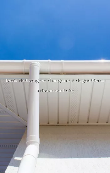 Devis Nettoyage et changement de gouttieres a Nouan Sur Loire