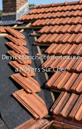 Devis Etancheité de toiture a Noyers Sur Cher