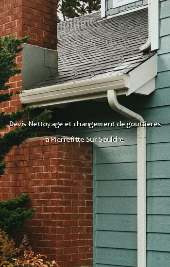 Devis Nettoyage et changement de gouttieres a Pierrefitte Sur Sauldre