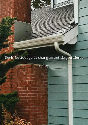 Devis Nettoyage et changement de gouttieres a Pray