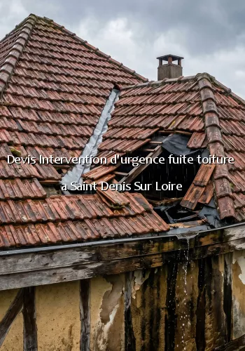 Devis Intervention d'urgence fuite toiture  a Saint Denis Sur Loire