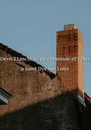 Devis Etanchéité de cheminée et Velux a Saint Dye Sur Loire