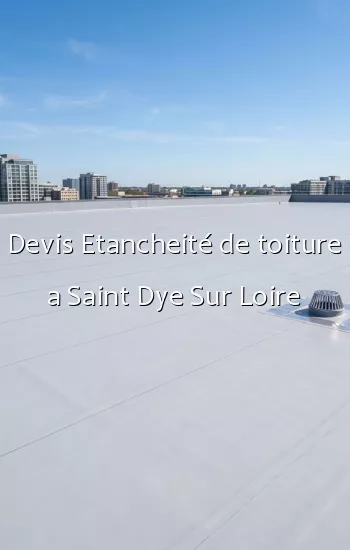 Devis Etancheité de toiture a Saint Dye Sur Loire