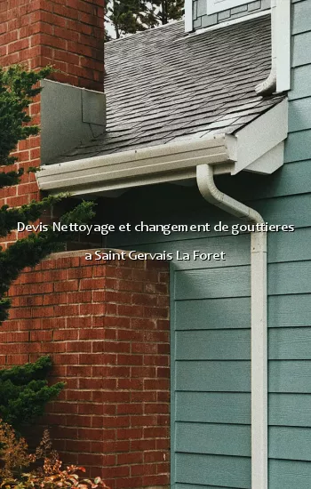 Devis Nettoyage et changement de gouttieres a Saint Gervais La Foret
