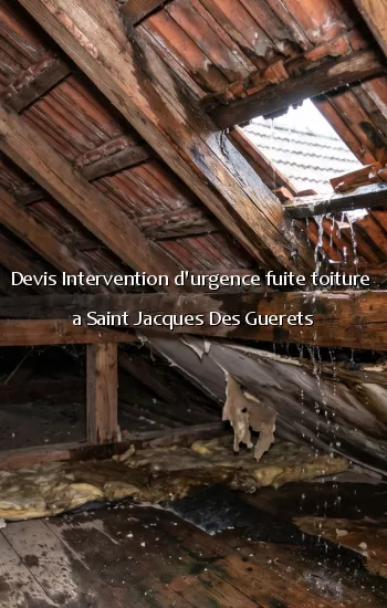 Devis Intervention d'urgence fuite toiture a Saint Jacques Des Guerets