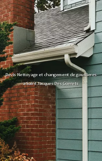 Devis Nettoyage et changement de gouttieres a Saint Jacques Des Guerets