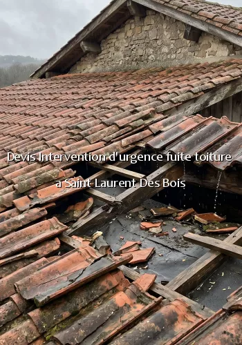 Devis Intervention d'urgence fuite toiture  a Saint Laurent Des Bois
