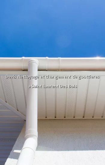 Devis Nettoyage et changement de gouttieres a Saint Laurent Des Bois