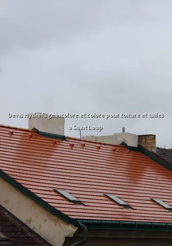 Devis Hydrofuge incolore et colore pour toiture et tuiles a Saint Loup