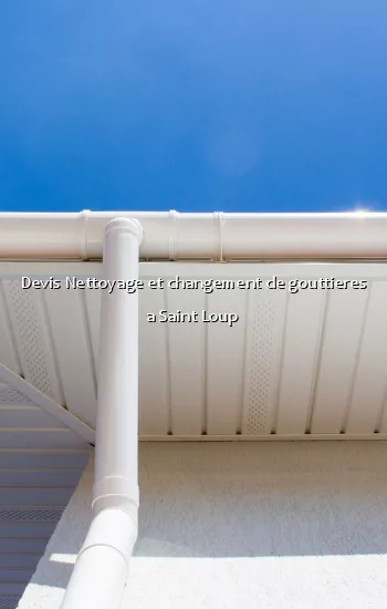Devis Nettoyage et changement de gouttieres a Saint Loup