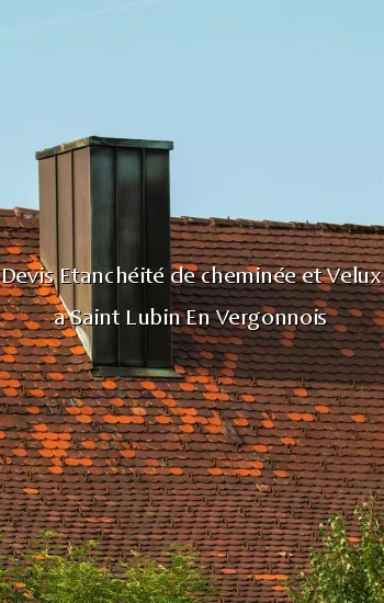 Devis Etanchéité de cheminée et Velux a Saint Lubin En Vergonnois