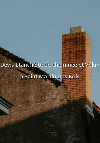 Devis Etanchéité de cheminée et Velux a Saint Martin Des Bois