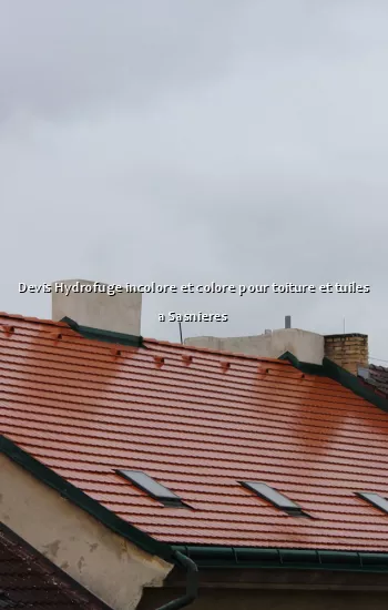 Devis Hydrofuge incolore et colore pour toiture et tuiles a Sasnieres