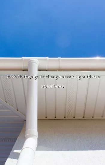 Devis Nettoyage et changement de gouttieres a Sasnieres