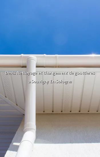 Devis Nettoyage et changement de gouttieres a Souvigny En Sologne