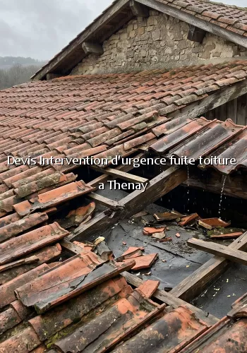 Devis Intervention d'urgence fuite toiture a Thenay
