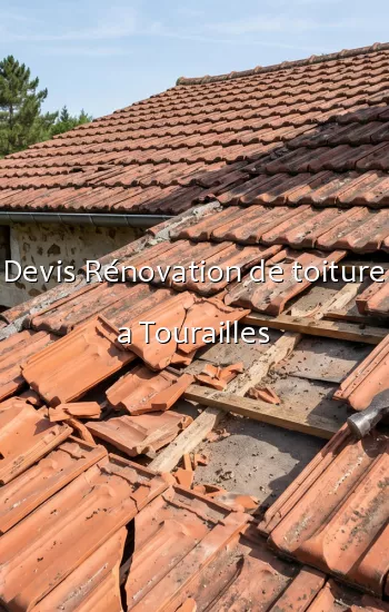 Devis Rénovation de toiture a Tourailles