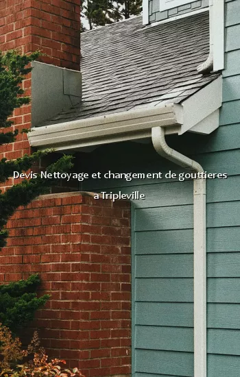 Devis Nettoyage et changement de gouttieres a Tripleville
