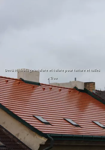Devis Hydrofuge incolore et colore pour toiture et tuiles a Troo